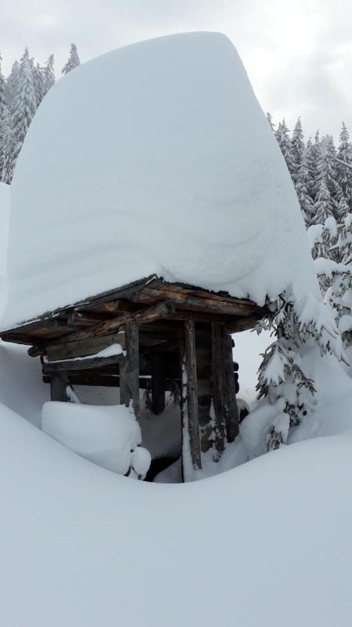 Haus Hoellwart Sankt Johann im Pongau Exteriör bild
