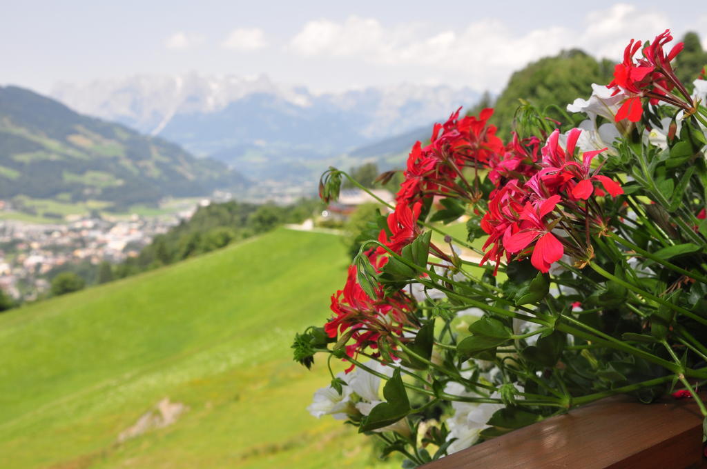 Haus Hoellwart Sankt Johann im Pongau Exteriör bild